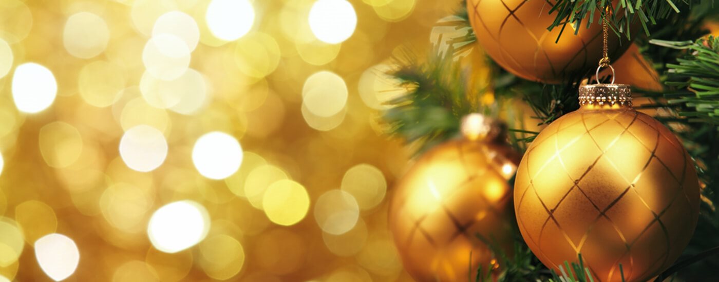 Horton Grange Special Events